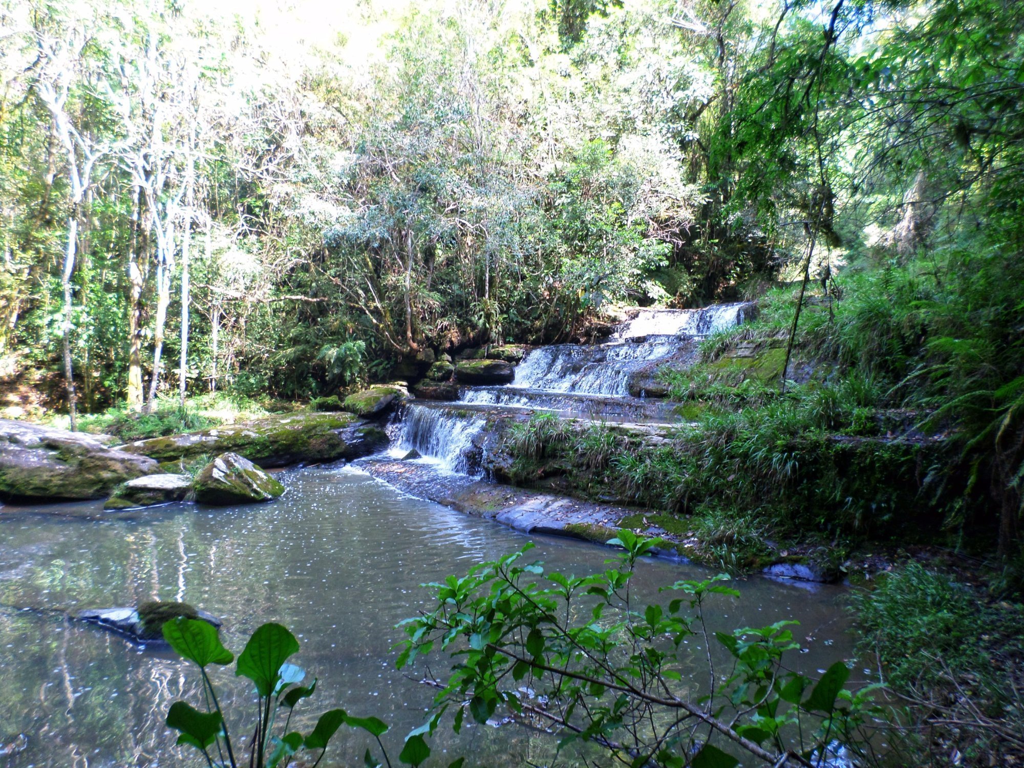 Cachoeiras – PR – Cachoeira Kapuscinski (Prudentópolis)