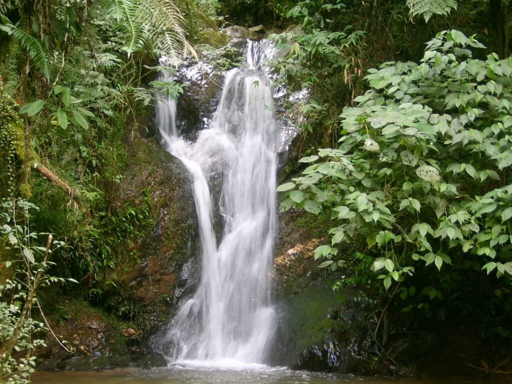 Cachoeiras – PR – Cachoeiras Gêmeas (Campo Magro)