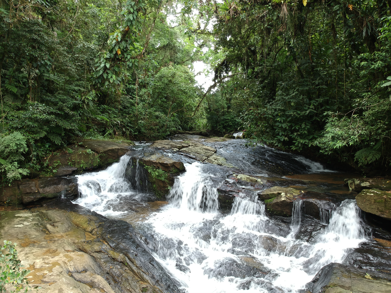 Cachoeiras – PR – Cachoeiras do Rio Ipiranga (Morretes)