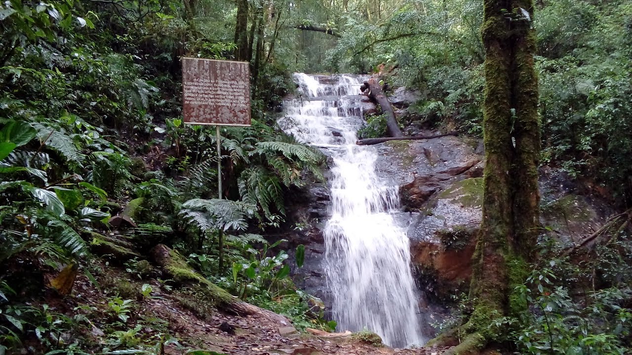Cachoeiras – PR – Cascata da Professorinha (Campo Magro)