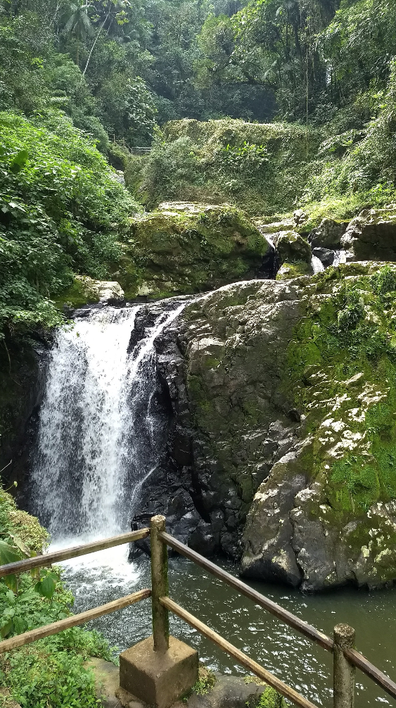 Cachoeiras – SC – Cachoeira Palmito – (Corupá)
